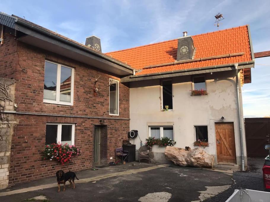 Ferienwohnung Felinenhof Weilerswist Exteriér fotografie